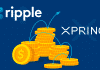 Ripple Invests $0.5 Billion in Xpring to Promote the Adoption of XRP